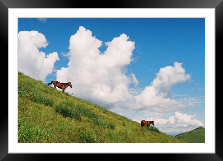 Horses Framed Mounted Print by Anton Popov