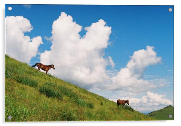 Horses Acrylic by Anton Popov