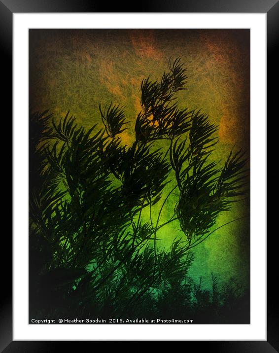 Storm Force Framed Mounted Print by Heather Goodwin