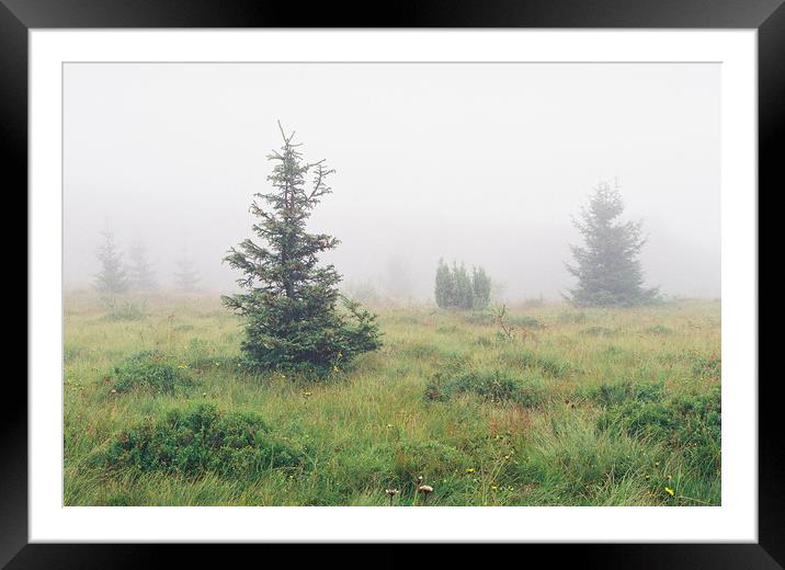 Foggy landscape Framed Mounted Print by Anton Popov
