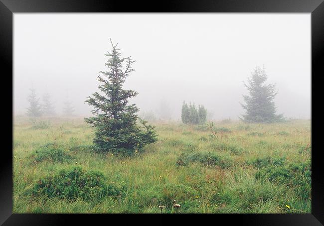 Foggy landscape Framed Print by Anton Popov