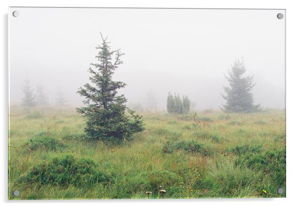 Foggy landscape Acrylic by Anton Popov