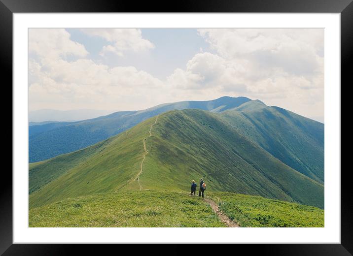The path on the mountain 2 Framed Mounted Print by Anton Popov