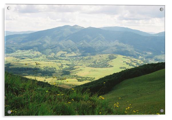 Carpatian Mountains 3 Acrylic by Anton Popov