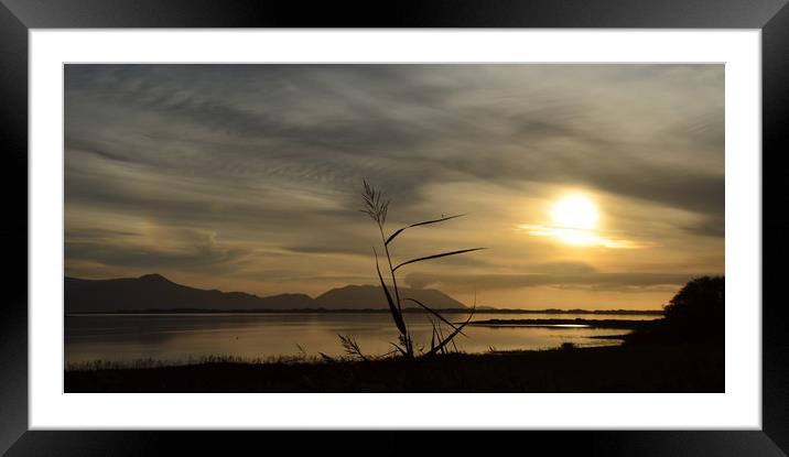 Sunset Inch Framed Mounted Print by barbara walsh
