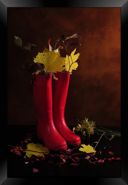 My Boots are Cool Framed Print by Randi Grace Nilsberg
