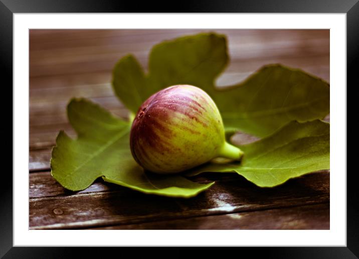 Honeyed figs  Framed Mounted Print by Dagmar Giers
