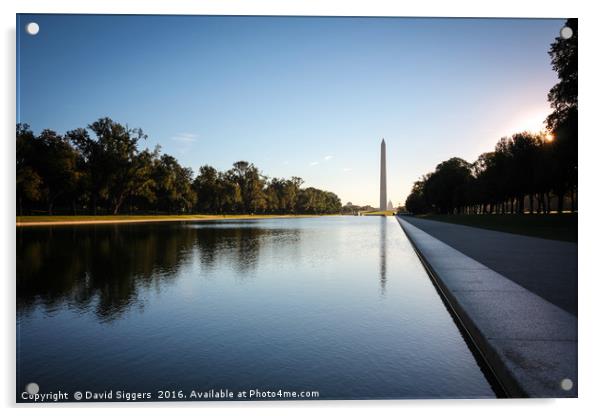 Morning at the Washington  Acrylic by David Siggers