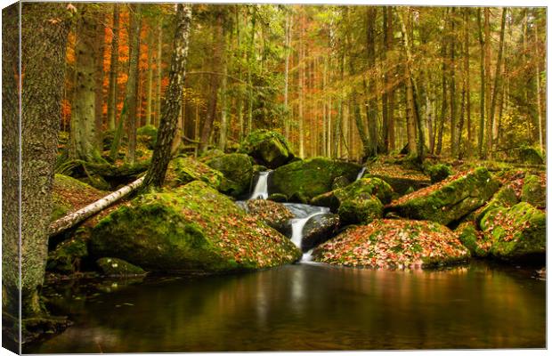 Waterfall in the autumn mountain forest. Canvas Print by Sergey Fedoskin