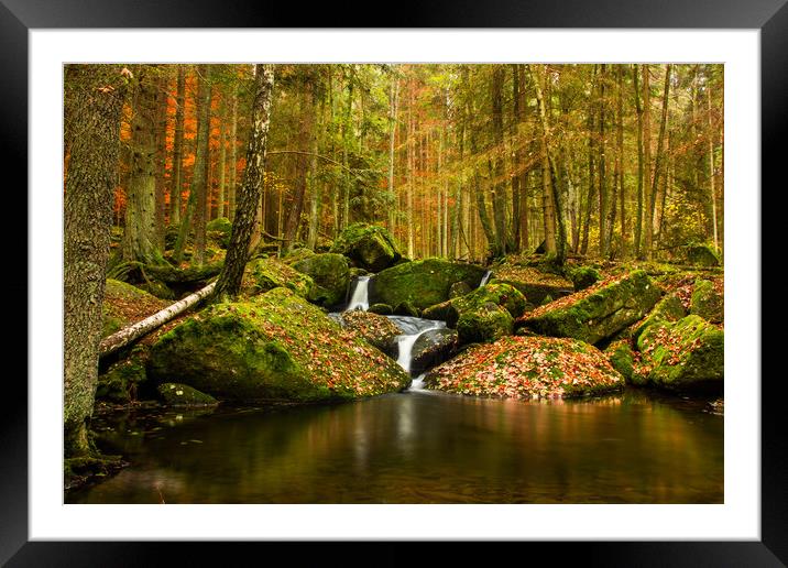 Waterfall in the autumn mountain forest. Framed Mounted Print by Sergey Fedoskin