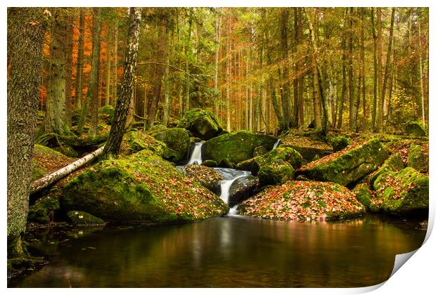 Waterfall in the autumn mountain forest. Print by Sergey Fedoskin