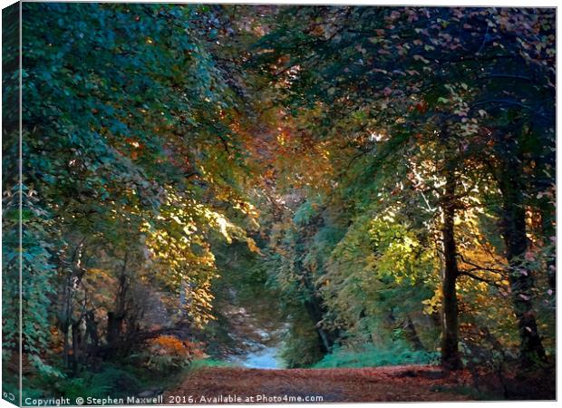 Woodburn Forest Canvas Print by Stephen Maxwell