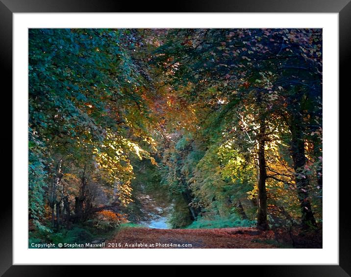 Woodburn Forest Framed Mounted Print by Stephen Maxwell