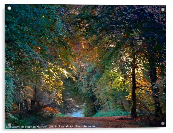 Woodburn Forest Acrylic by Stephen Maxwell