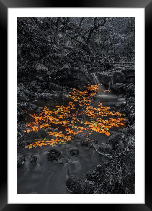 Autumn in Padley Gorge  Framed Mounted Print by Paul Andrews