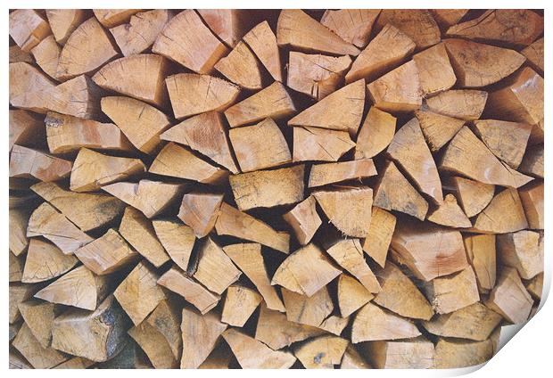 Chop wood Print by Anton Popov