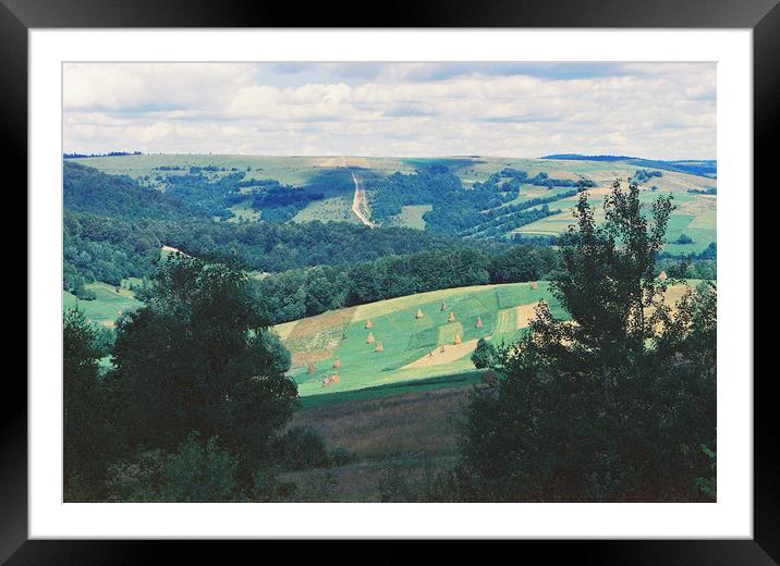 Field in the Carpathians Framed Mounted Print by Anton Popov