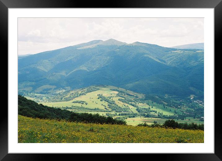 Carpathian landscape with flowers Framed Mounted Print by Anton Popov