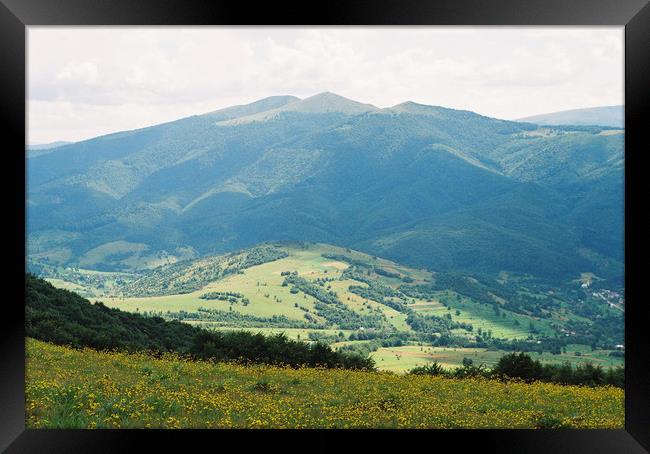 Carpathian landscape with flowers Framed Print by Anton Popov