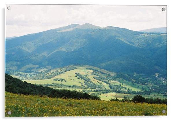 Carpathian landscape with flowers Acrylic by Anton Popov