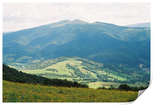 Carpathian landscape with flowers Print by Anton Popov