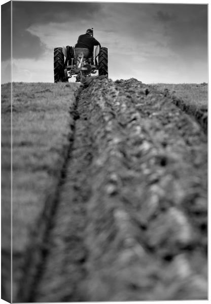 Ploughing match Canvas Print by Tony Bates