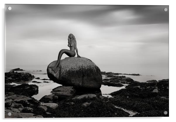 Mermaid of the north mono Acrylic by Grant Glendinning