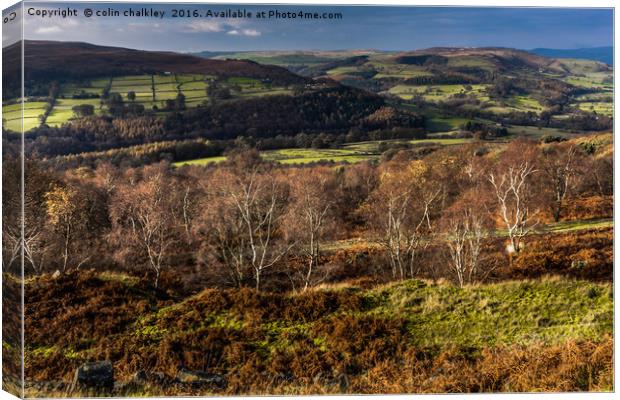 View from Stanage Edge Canvas Print by colin chalkley