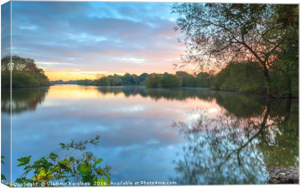An early morning at Attenborough Nature Reserve Canvas Print by Vladimir Korolkov