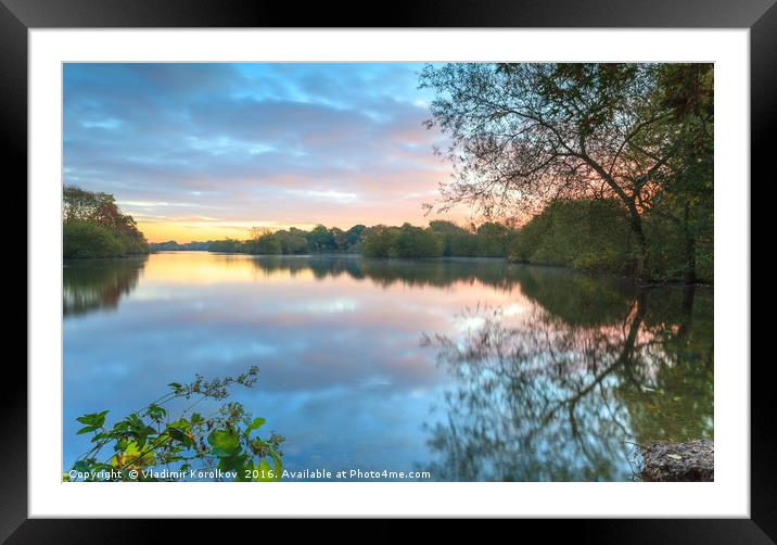 An early morning at Attenborough Nature Reserve Framed Mounted Print by Vladimir Korolkov
