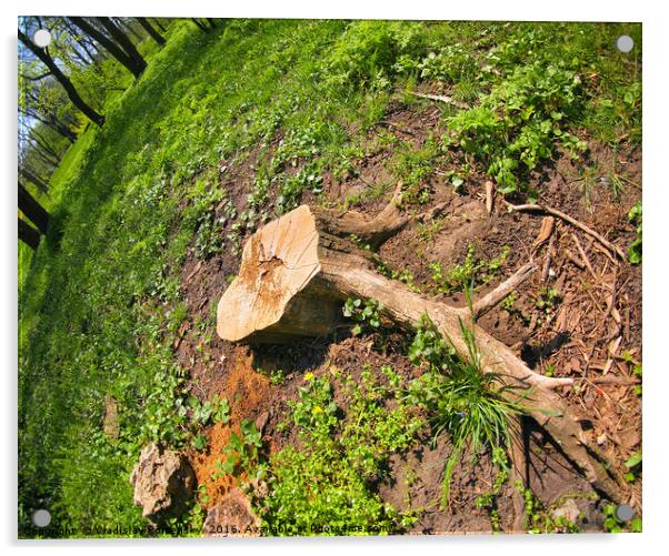 Stump of the cut tree on the edge of the forest Acrylic by Vladislav Romensky