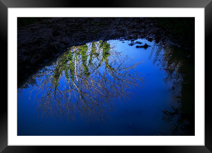 Tree branches, blue sky reflected in water puddle Framed Mounted Print by André Jorge