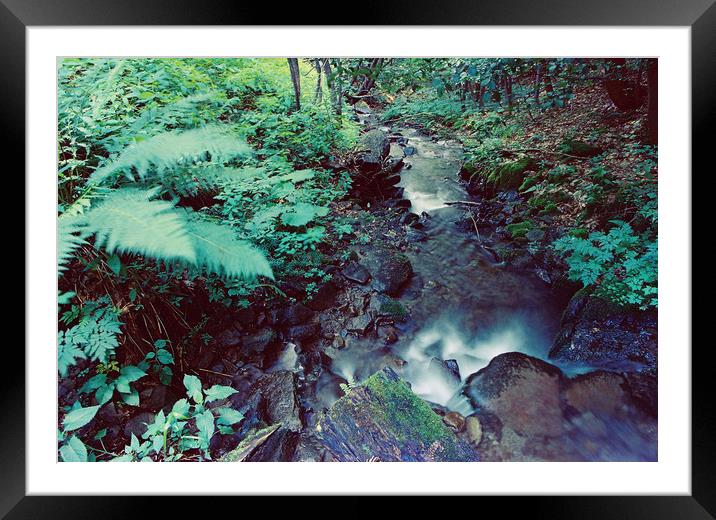 waterfall in Carpathian mountains Framed Mounted Print by Anton Popov