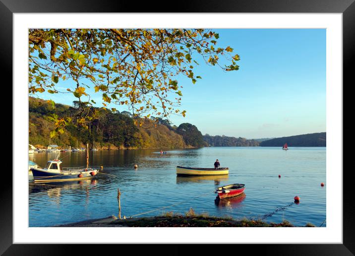 Truro River Framed Mounted Print by Terri Waters