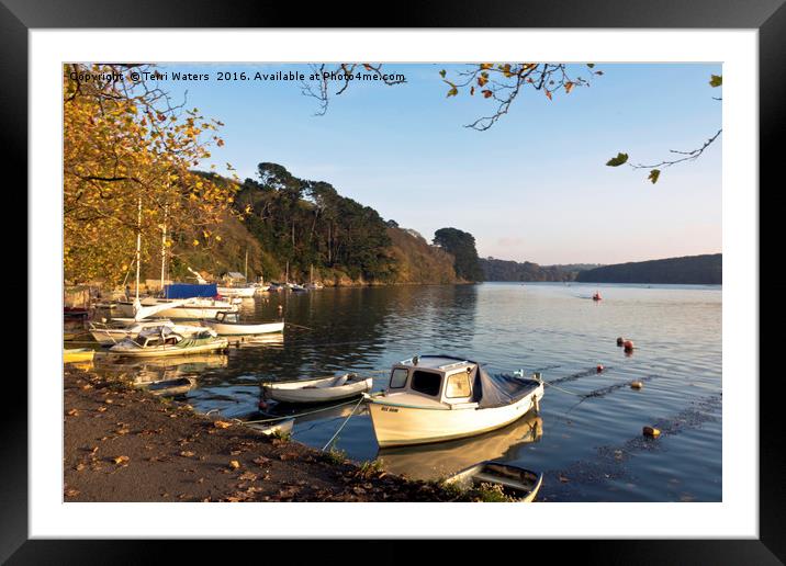 Autumn Comes to Malpas landscape Framed Mounted Print by Terri Waters