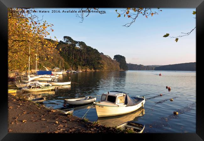 Autumn Comes to Malpas landscape Framed Print by Terri Waters