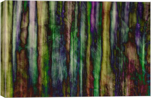 Stained Glass Woods Canvas Print by Michael Houghton