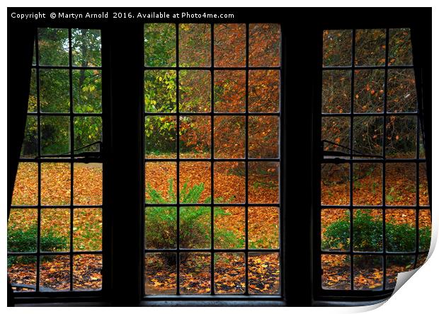 Autumn through the Window Print by Martyn Arnold
