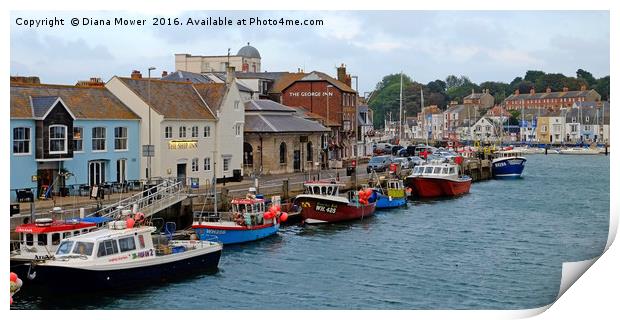 Weymouth Harbour Print by Diana Mower