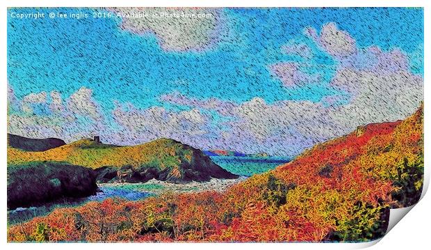 impressions of port quin Print by Lee Inglis