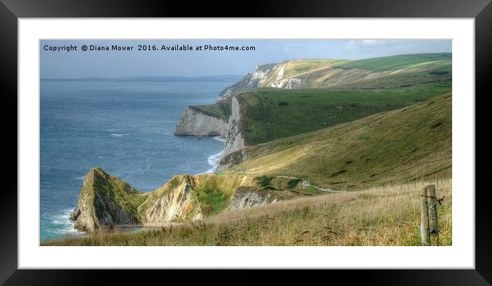 The Jurassic coast, Dorset. Framed Mounted Print by Diana Mower