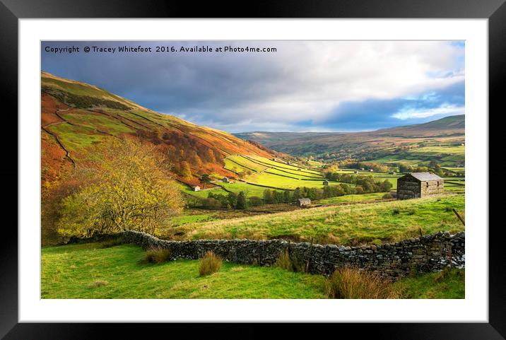 Autumn in Swaledale  Framed Mounted Print by Tracey Whitefoot