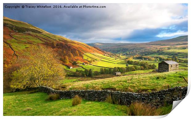 Autumn in Swaledale  Print by Tracey Whitefoot