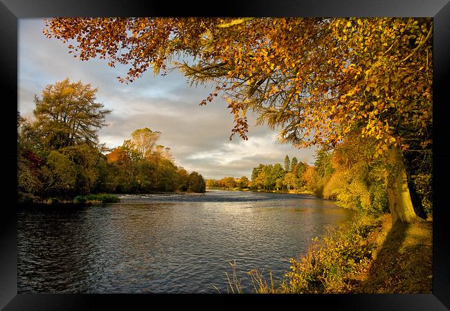 Autumn by the River Ness Framed Print by Jacqi Elmslie