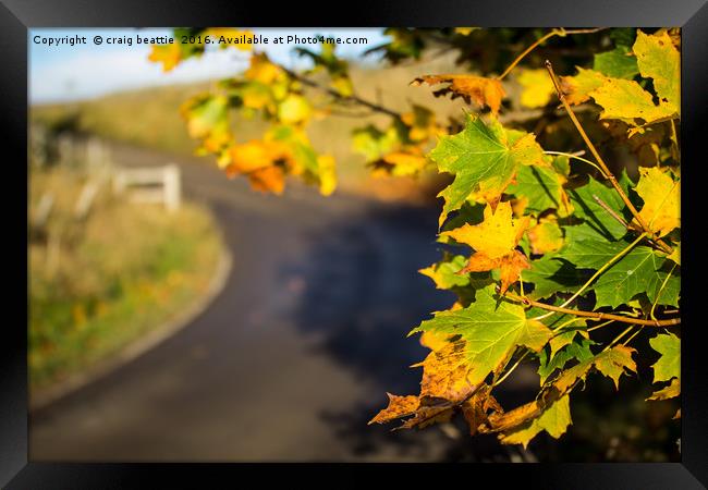 Another winding road Framed Print by craig beattie