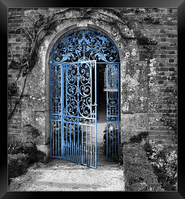Blue Gate Framed Print by Lucy Antony