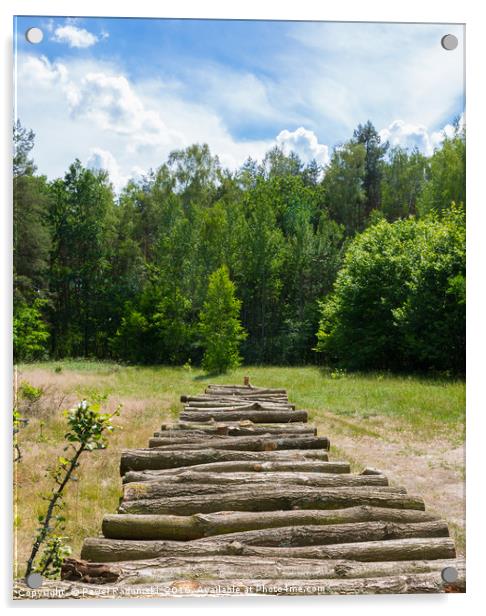 Pile of wooden logs in the sun Acrylic by Paweł Radomski