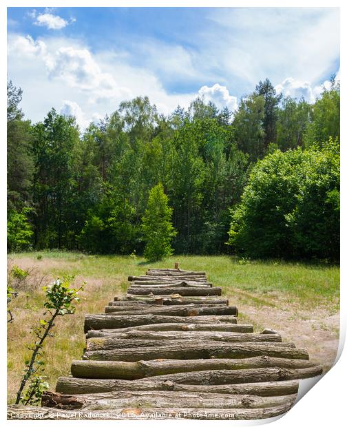 Pile of wooden logs in the sun Print by Paweł Radomski