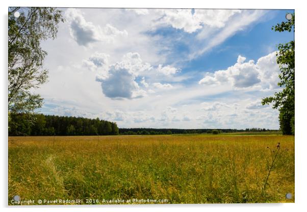Cloudscape over the meadow Acrylic by Paweł Radomski