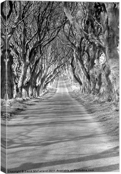 A long and lonely road Canvas Print by David McFarland